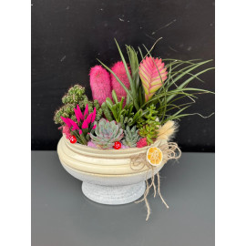 ÖZEL CANLI TERARYUM